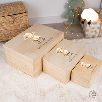 Baby Memory Box (3 sizes) | Set 2
