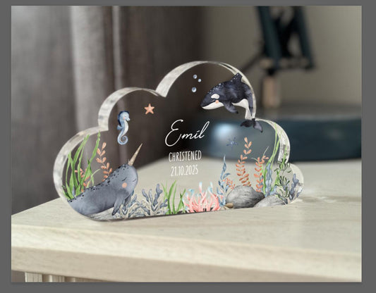 Baby Acrylic Plaque